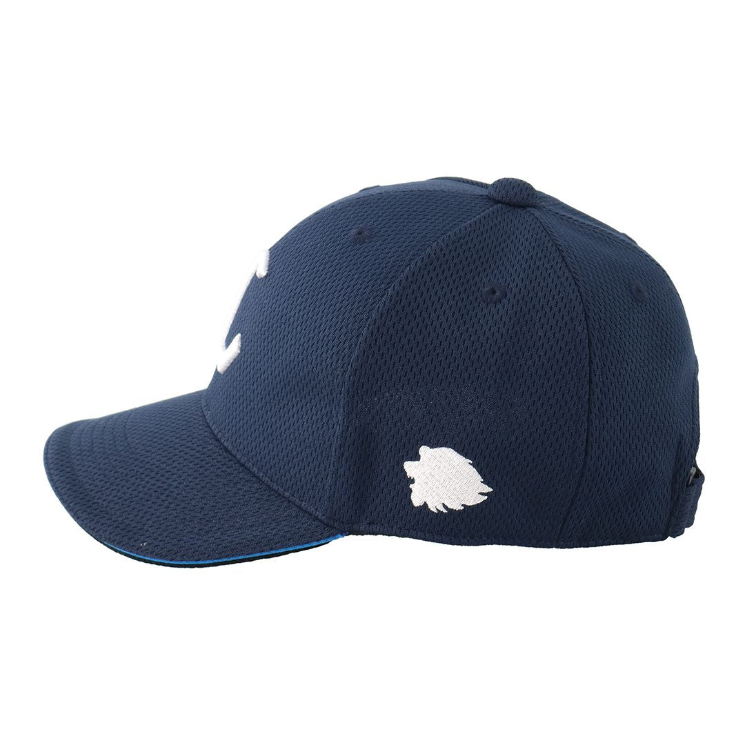Seibu Lions Cap,Seibu Lions hat,Official,baseball cap,baseball hat