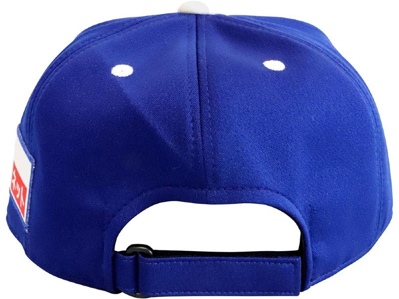 Chunichi Dragons Cap,official dragons cap,baseball hat,home cap