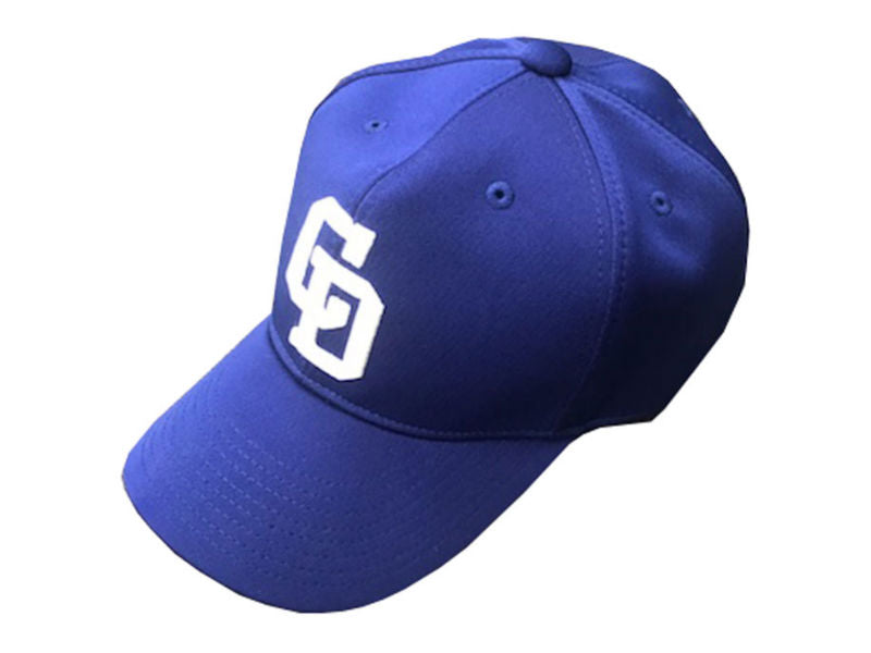 Chunichi Dragons Cap,official dragons cap,baseball hat