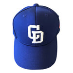 Fitted baseball cap, pro model cap, Chunichi Dragons cap,away cap