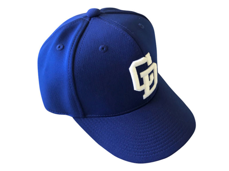 Fitted baseball cap, pro model cap, Chunichi Dragons cap,away cap